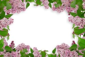 Flower border Frame Background, Flower Background, Floral Frame Background. photo