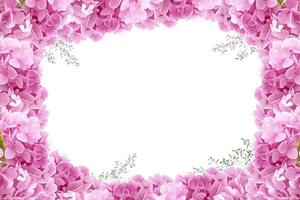 Flower border Frame Background, Flower Background, Floral Frame Background. photo