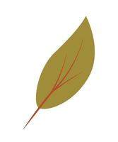 Birch or aspen leaf doodle vector illustration, isolate on white.