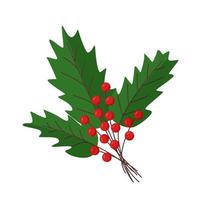 Christmas branches and berries, vector illustration, viburnum leaves background.