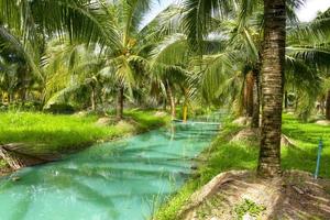 Coconut trees and blue water beauty nature in south Thailand photo