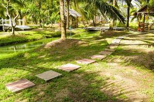 el sendero en el jardín de coco foto