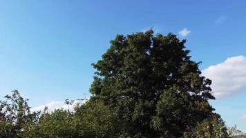 vista aérea del centro de la ciudad desde la estación de tren y bedfordshire video