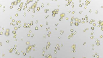 various forms of life in a drop of water. the simulation of the protozoan organism has loop animation video