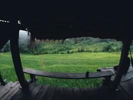 Rice field vacation, people at huts and rice terraces photo