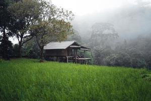 Green Rice field on terraced and farm hut photo