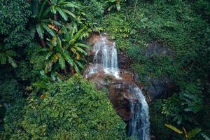 Waterfall in tropical forest,waterfall in jungle photo