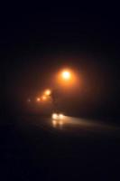 niebla en la carretera nocturna y naranjos foto
