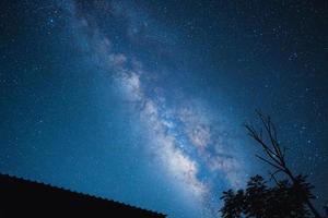 Night scene milky way background,Trees Against Sky At Night photo