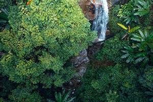 Waterfall in tropical forest,waterfall in jungle photo