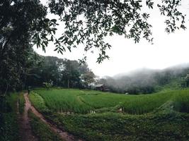 Rice field vacation, people at huts and rice terraces photo