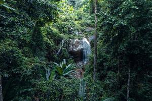 Waterfall in tropical forest,waterfall in jungle photo