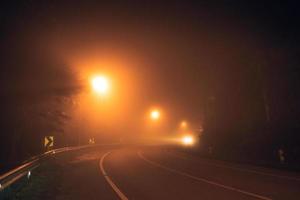 fog at night road and orange trees photo