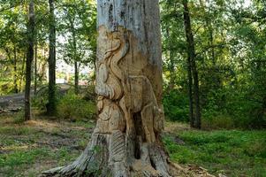 museo al aire libre del sendero chisolm tallado en árboles foto