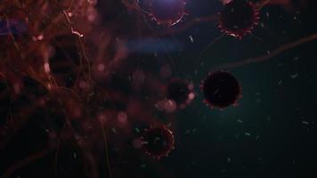 various viruses flying in space . simulation of viruses and other forms of bacteria video