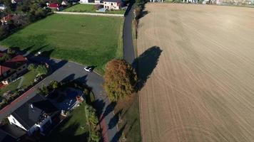 vista aérea en órbita de un árbol y un campo en otoño video