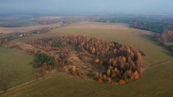 Aerial view of autumn landscape with trees video