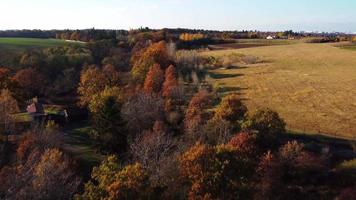 aereo Visualizza di autunno paesaggio con alberi e campo video