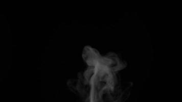 Slow motion of white smoke, fog, mist, vapor on a black background. video