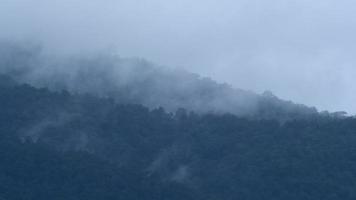 time-lapse van pluizige mist en wolk die soepel bewegen op een regenachtige dag. video