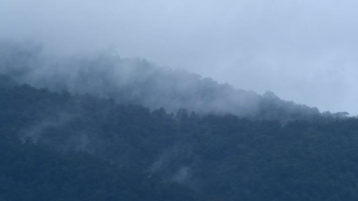 暴風雨影片