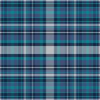 Tartan or plaid night color pattern. vector