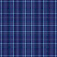 Tartan or plaid night color pattern. vector