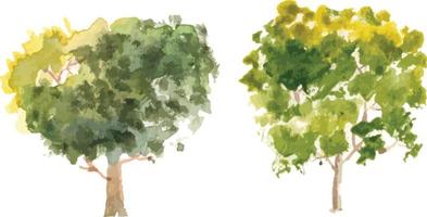 Vector hand drawn tree watercolor illustration on white background.