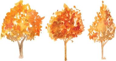 Vector hand drawn autumn tree watercolor illustration on white background.
