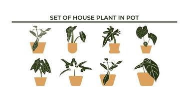 Set of house plant in pot vector