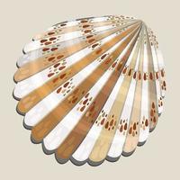 Vector isolated illustration of seashell of usual shape with decorative spots.