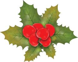 Christmas symbol vector illustration. Christmas holly leaves and branches with winter red berries Watercolor Vector Illustration for decorative element. Vector Set of Christmas evergreen holly leaves.