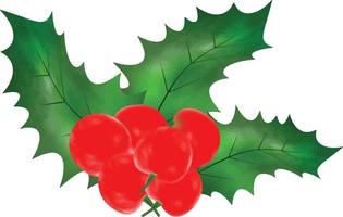 Christmas symbol vector illustration. Christmas holly leaves and branches with winter red berries Watercolor Vector Illustration for decorative element. Vector Set of Christmas evergreen holly leaves.