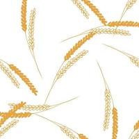 Seamless pattern with ears of wheat illustration on white background vector