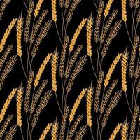 Seamless pattern with ears of wheat illustration on black background vector