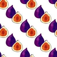 Seamless pattern with iIllustration of a figs on a white background vector