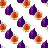 Seamless pattern with iIllustration of a figs on a white background vector