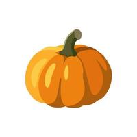 the single orange flat pumpkin vector