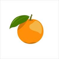 The one isolated flat freshness orange in oranges colors vector