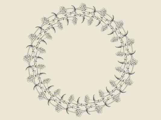 Floral wreath design for greating card, wedding invitation, romantic frame. Flower vector illustration of border template.