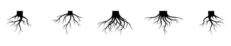 Old dark tree roots. Vector illustration