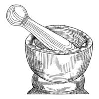 Hand-drawn sketch of pepper bowl grinder on a white background. Pot grinder for spices. Bowl for mashing and grinding vector