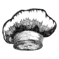 Chef's hat. Vector illustration. Isolated object on a white background. Hand-drawn.