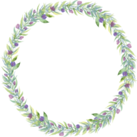 fleur cadre guirlande anneau aquarelle illustration png
