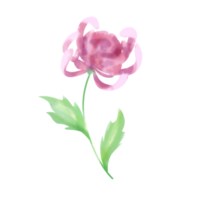 flower paintbrush style png