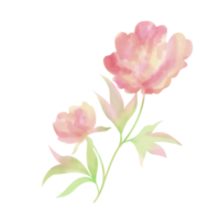 flower paintbrush style png