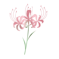 estilo de pincel de flores png