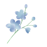 flower paintbrush style png