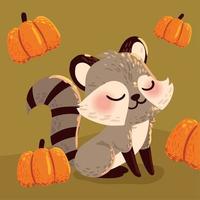funny raccoon and pumpkins vector