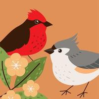 birds cute animals vector